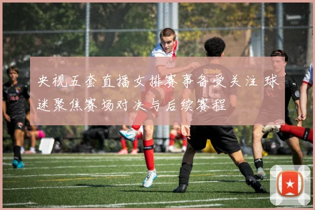 央视五套直播女排赛事备受关注 球迷聚焦赛场对决与后续赛程