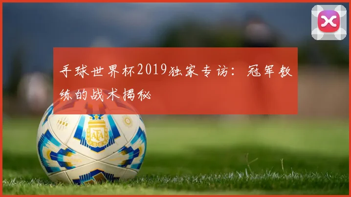手球世界杯2019独家专访：冠军教练的战术揭秘