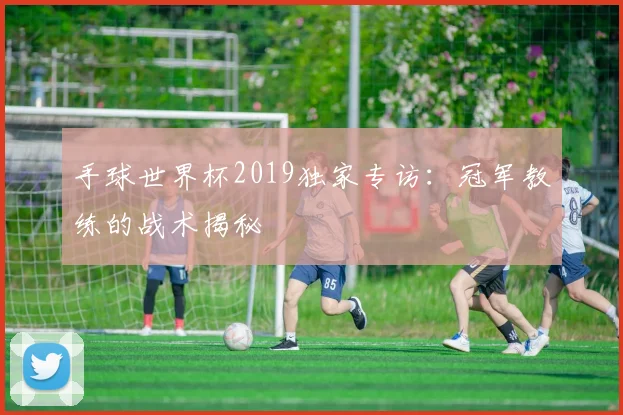 手球世界杯2019独家专访：冠军教练的战术揭秘