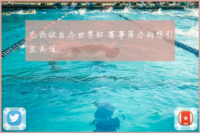 巴西欲自办世界杯 赛事筹办构想引发关注