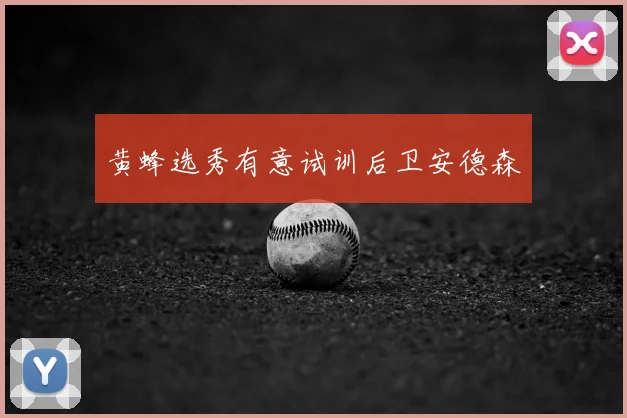 黄蜂选秀有意试训后卫安德森
