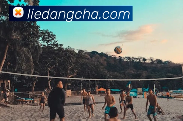 半岛官网在线登陆发展历程